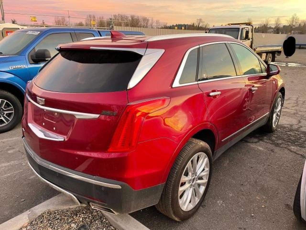 2019 Cadillac #4