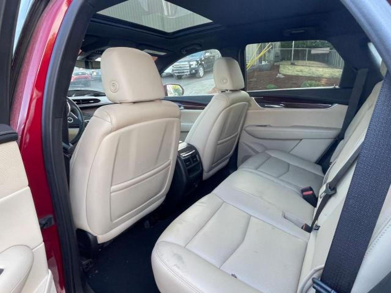 2019 Cadillac #6