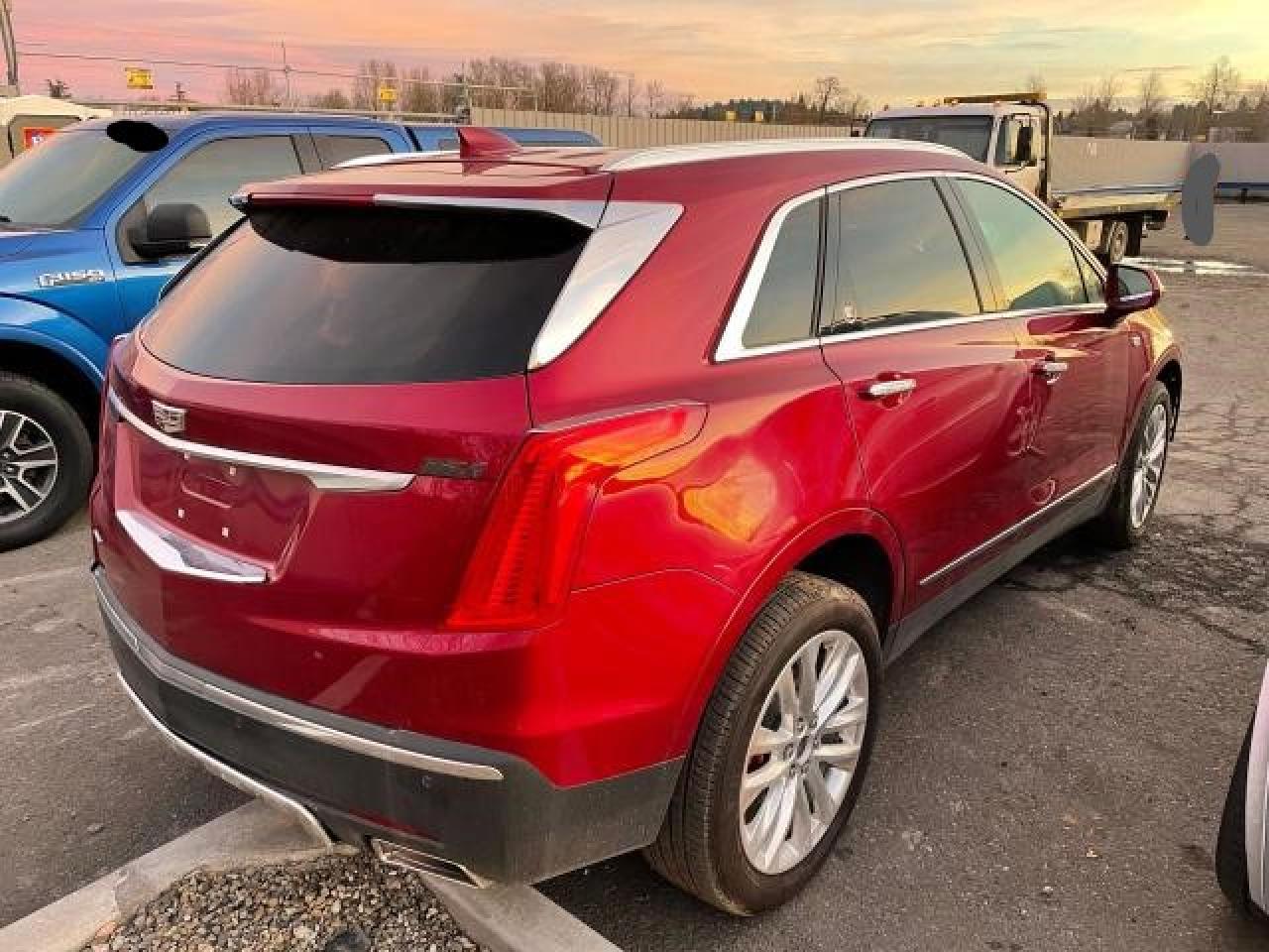 2019 Cadillac #4