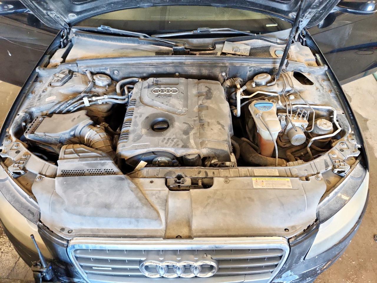 2011 Audi #11