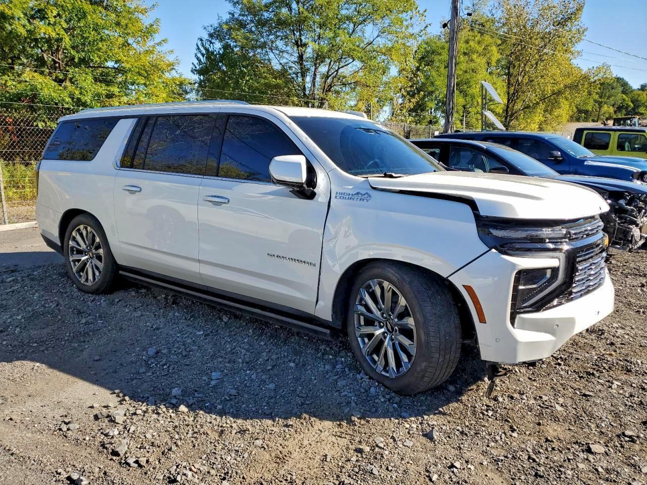 2025 Chevrolet #4