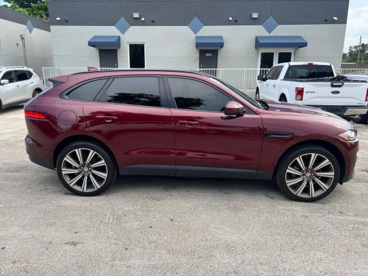 2017 Jaguar #14