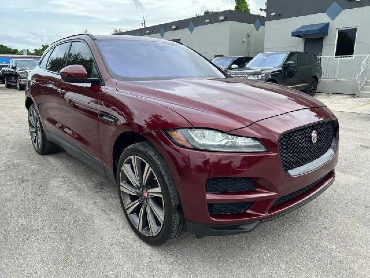 2017 Jaguar #4
