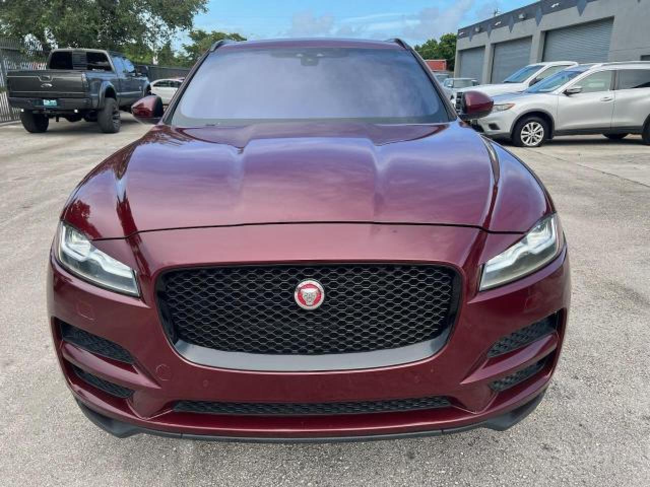 2017 Jaguar #5
