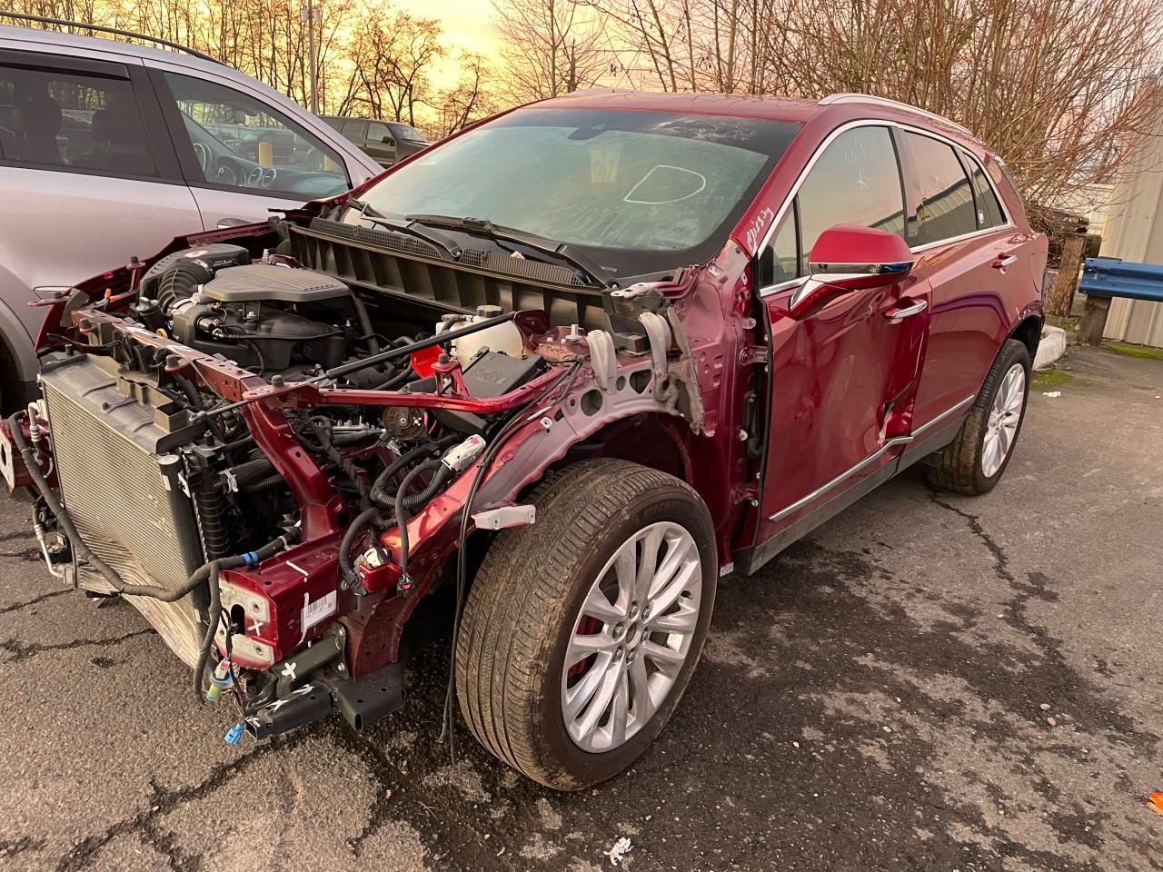 2019 Cadillac #2