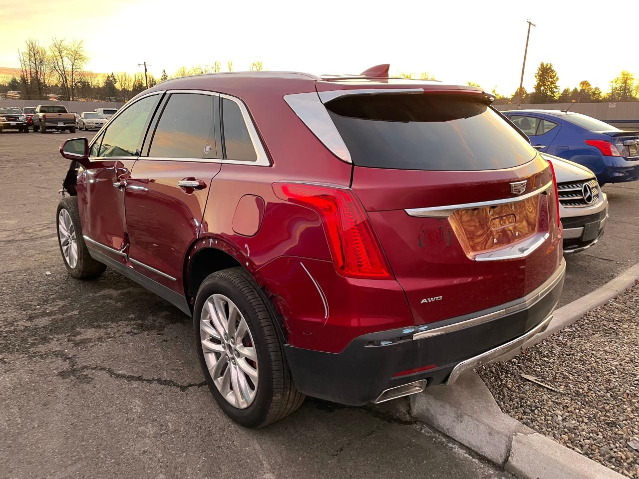 2019 Cadillac #3