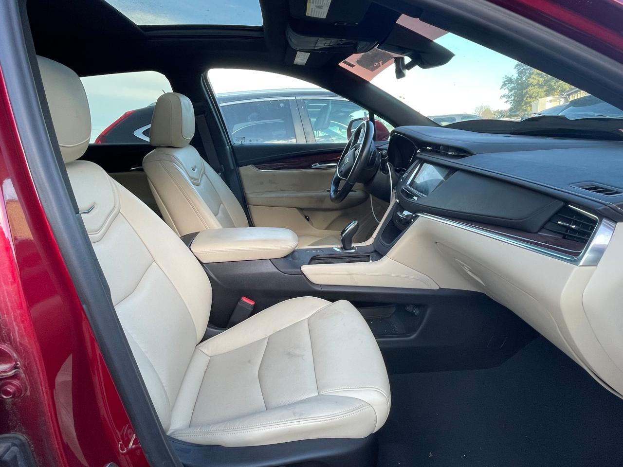 2019 Cadillac #5