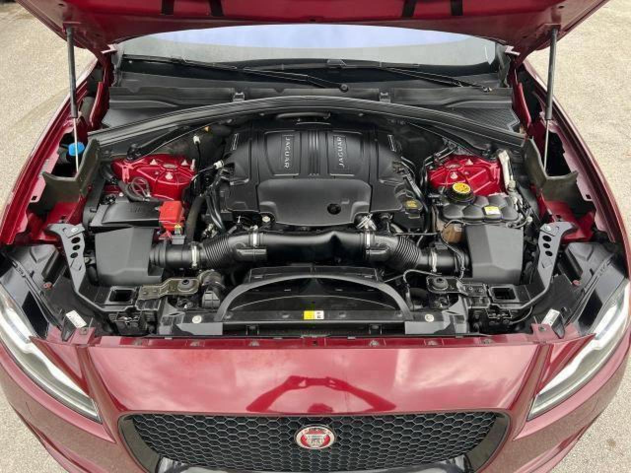 2017 Jaguar #15