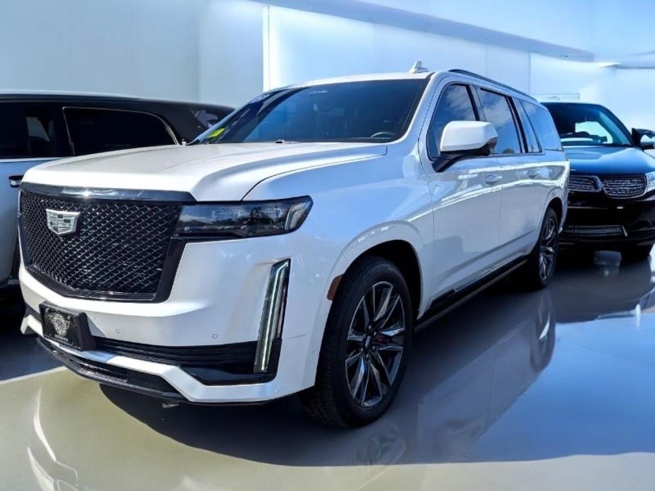2022 Cadillac #2