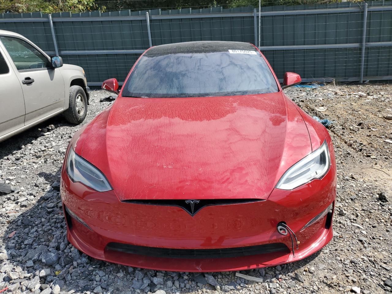 2021 Tesla #5