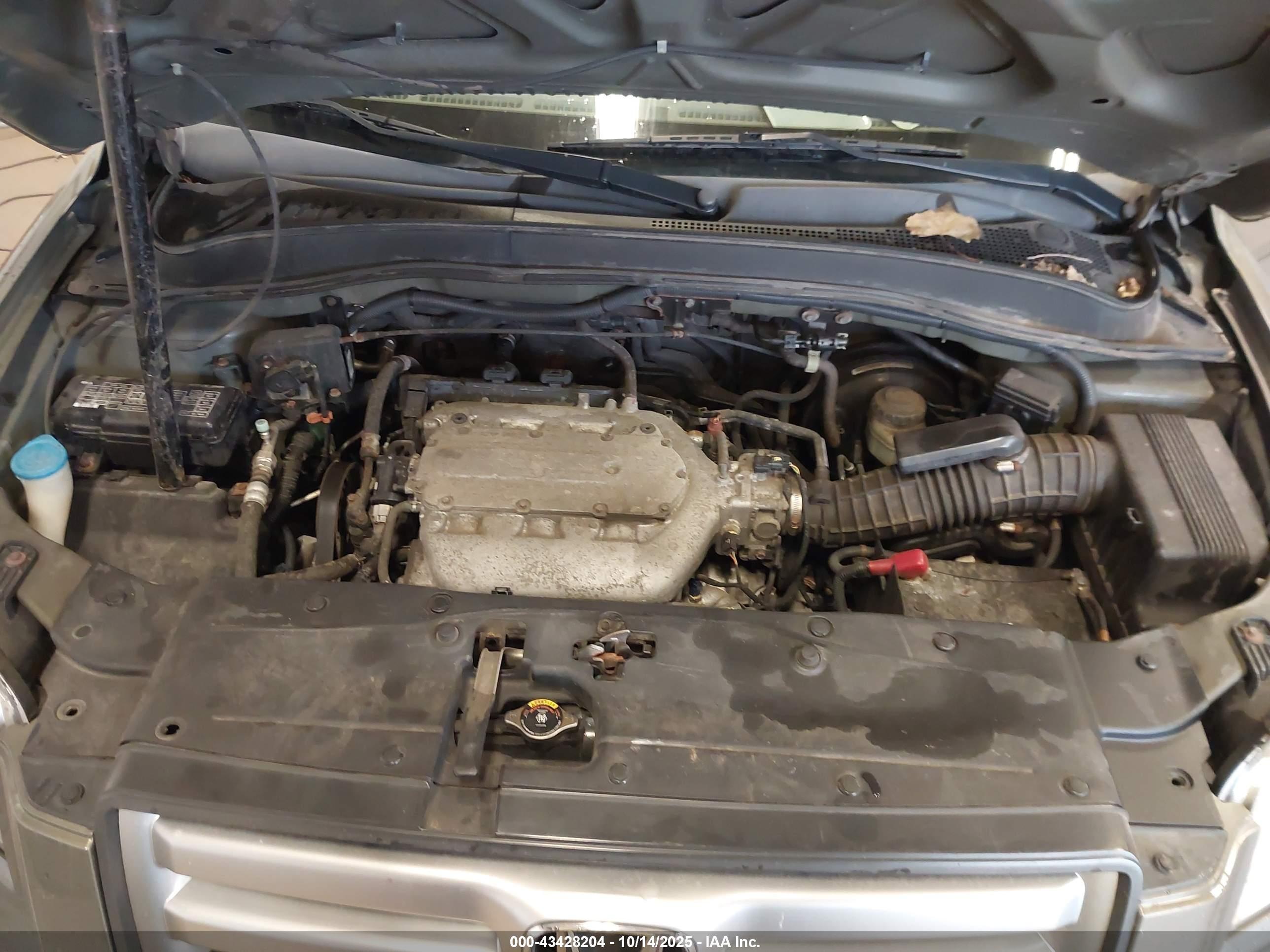 2007 Honda #10