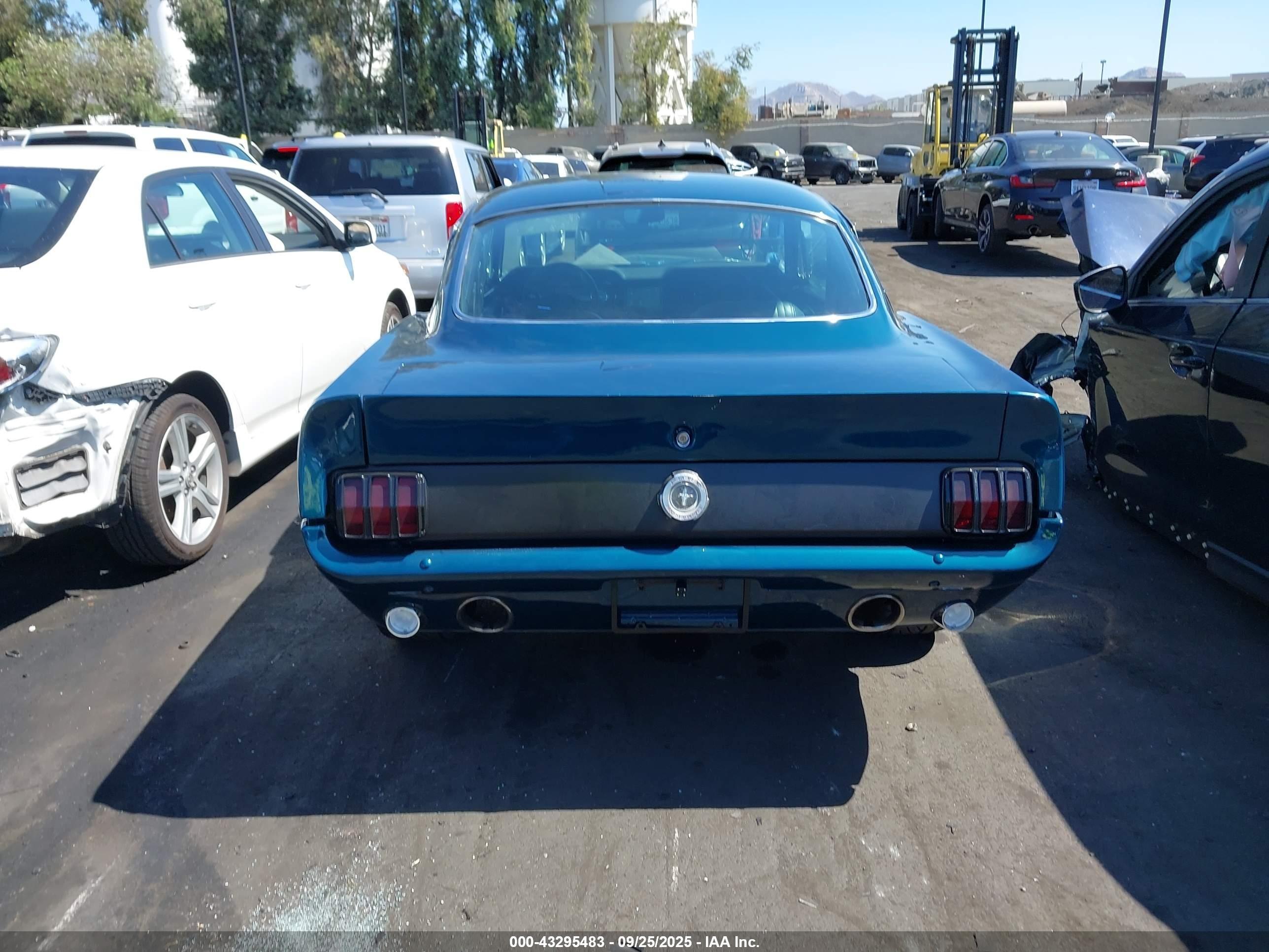 1965 Ford #17