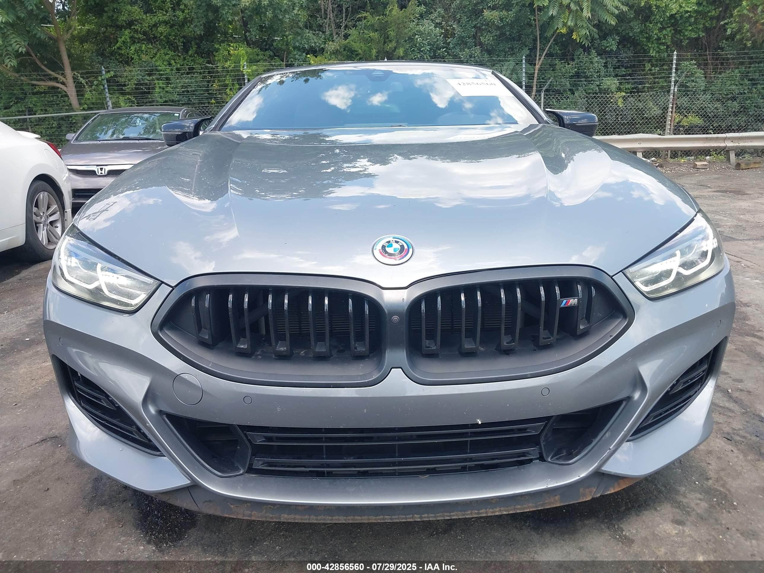 2023 BMW #12