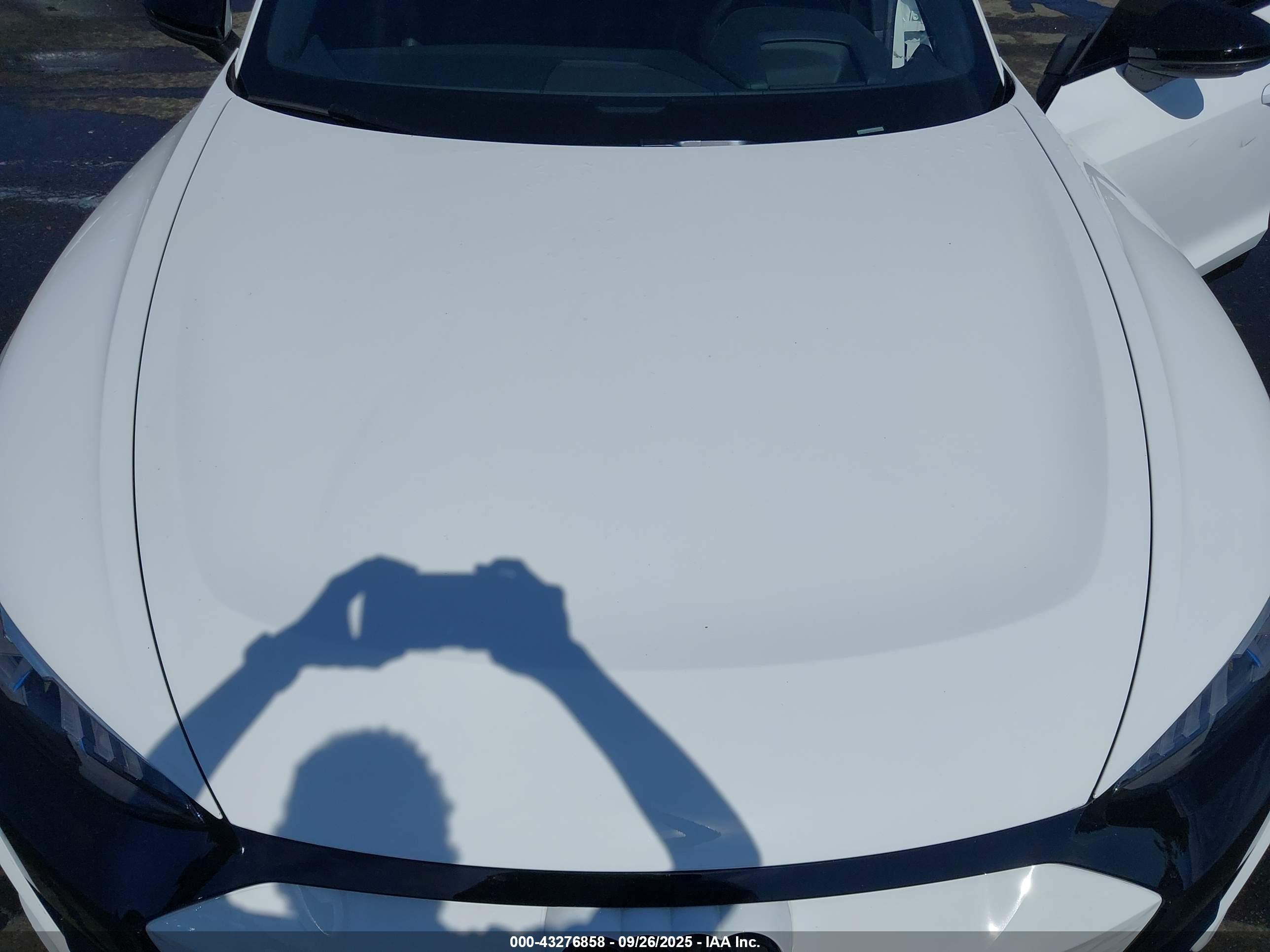 2023 Audi #10