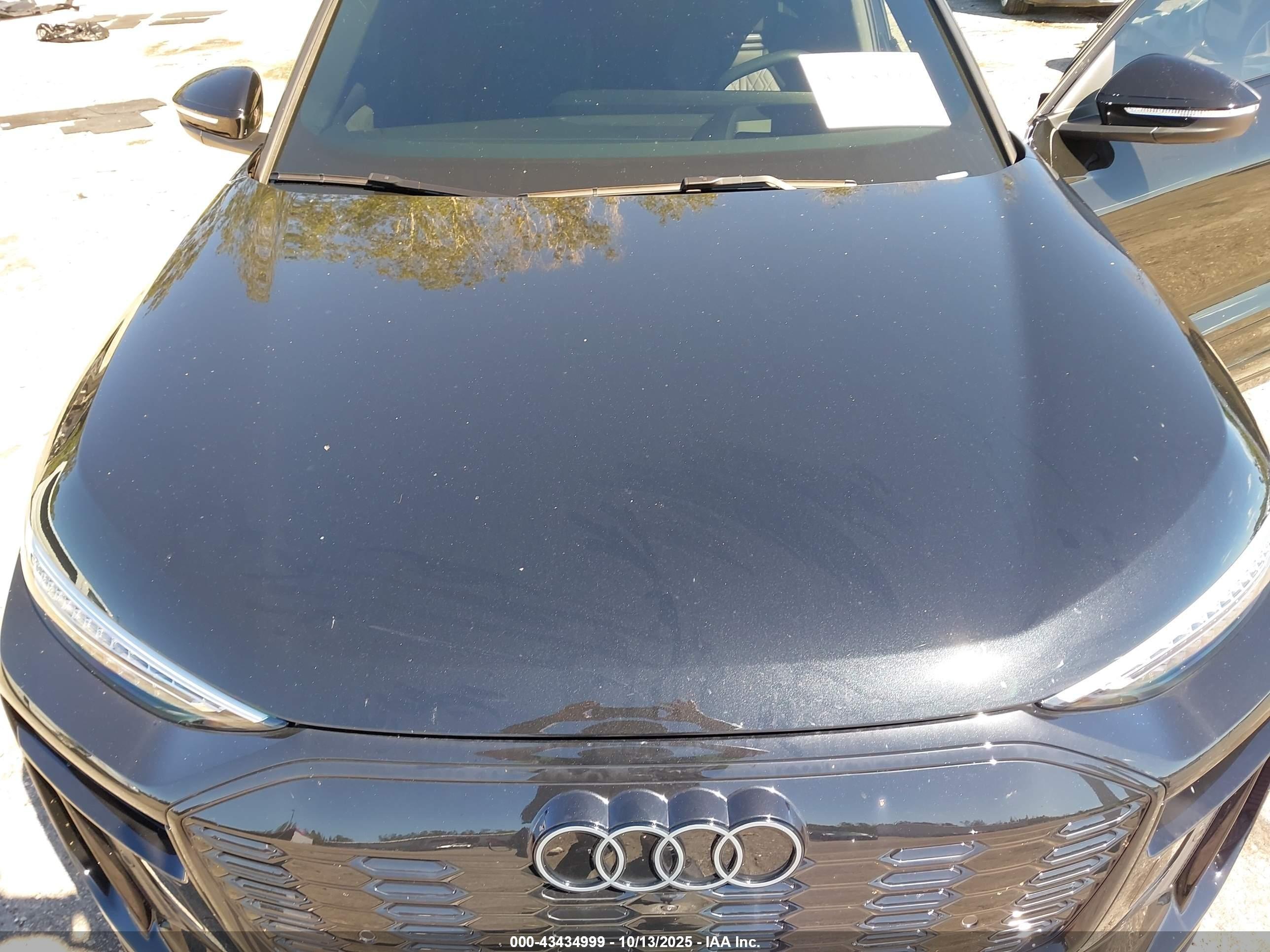 2025 Audi #10