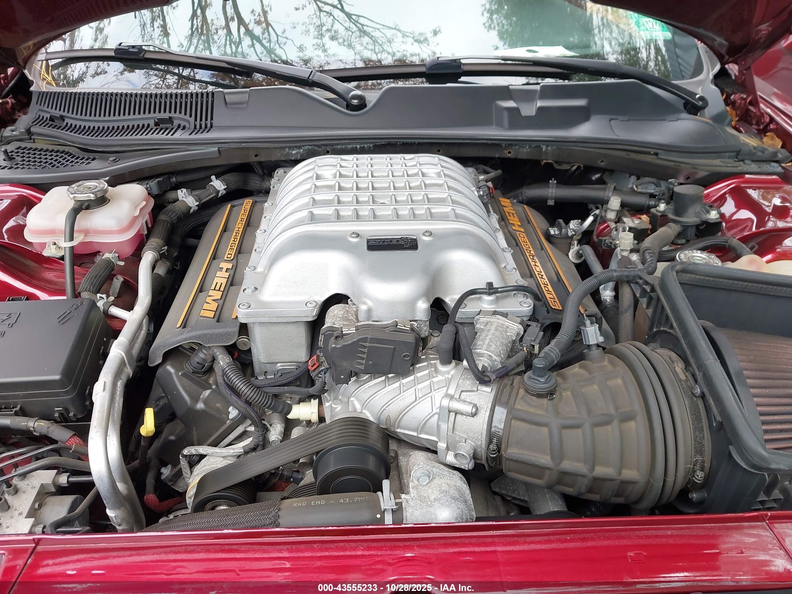 2019 Dodge #10