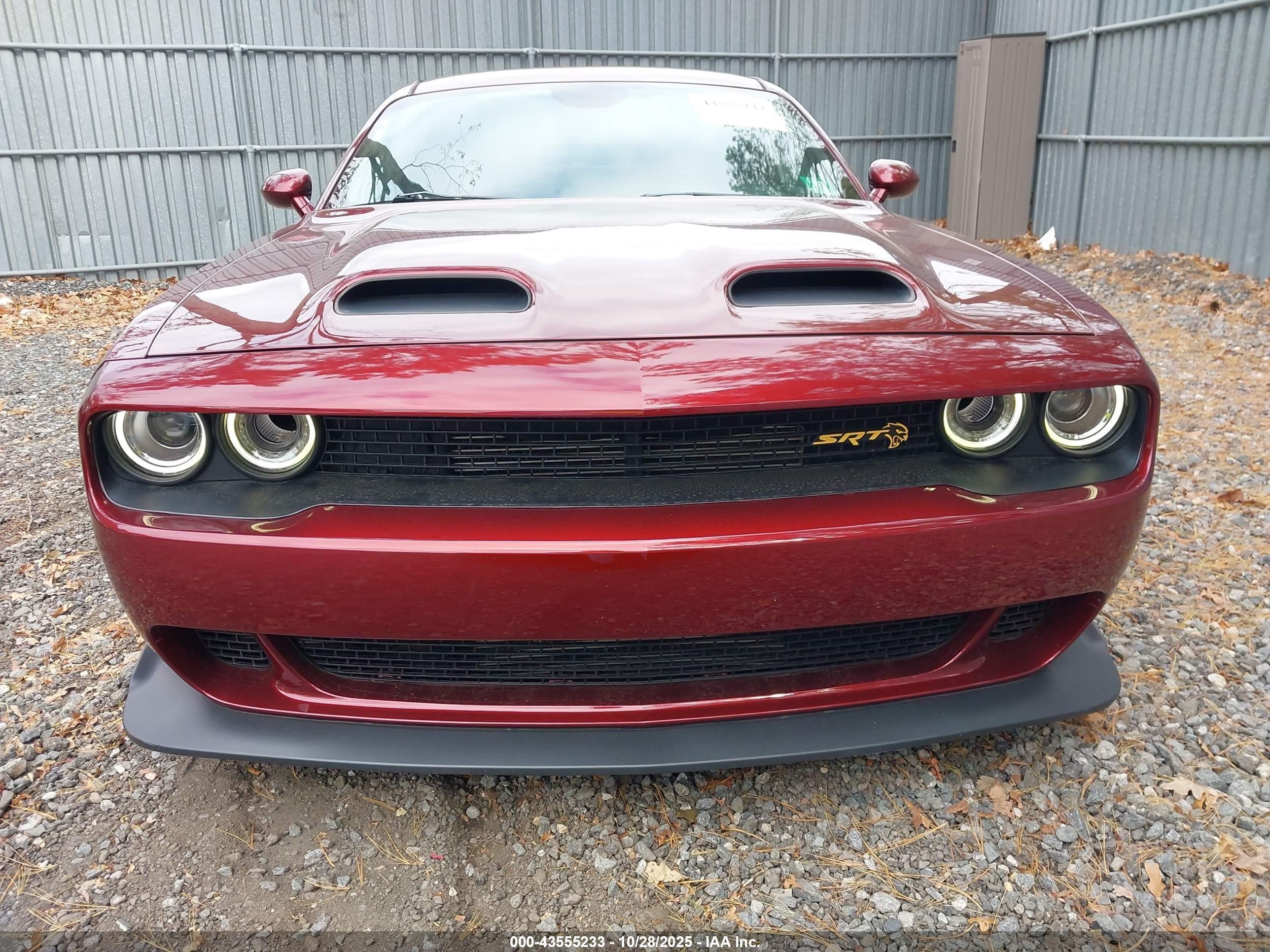2019 Dodge #12