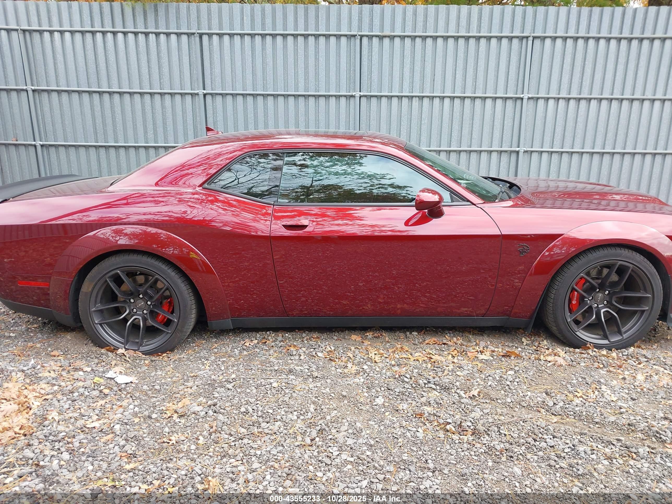 2019 Dodge #13