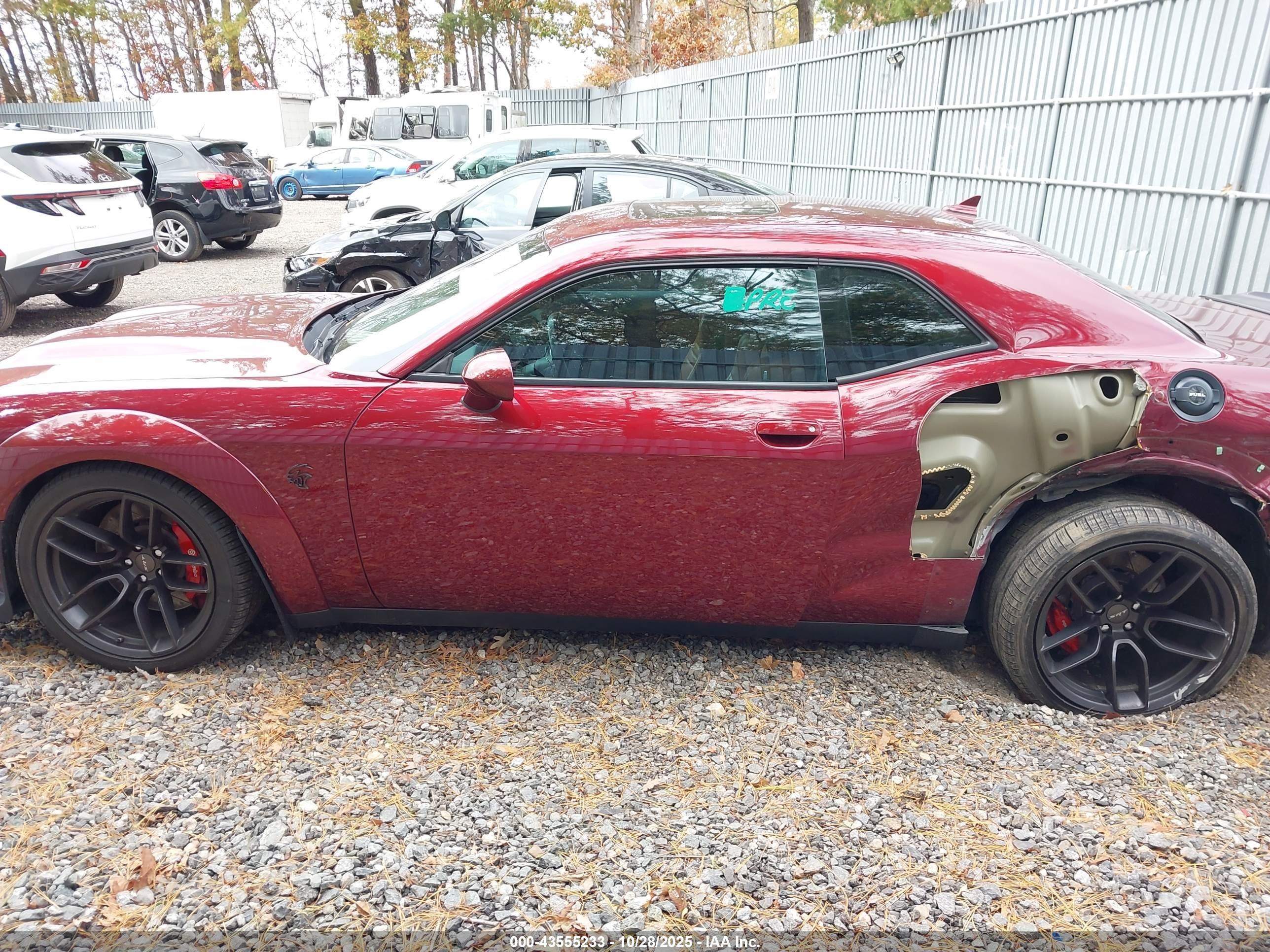 2019 Dodge #14