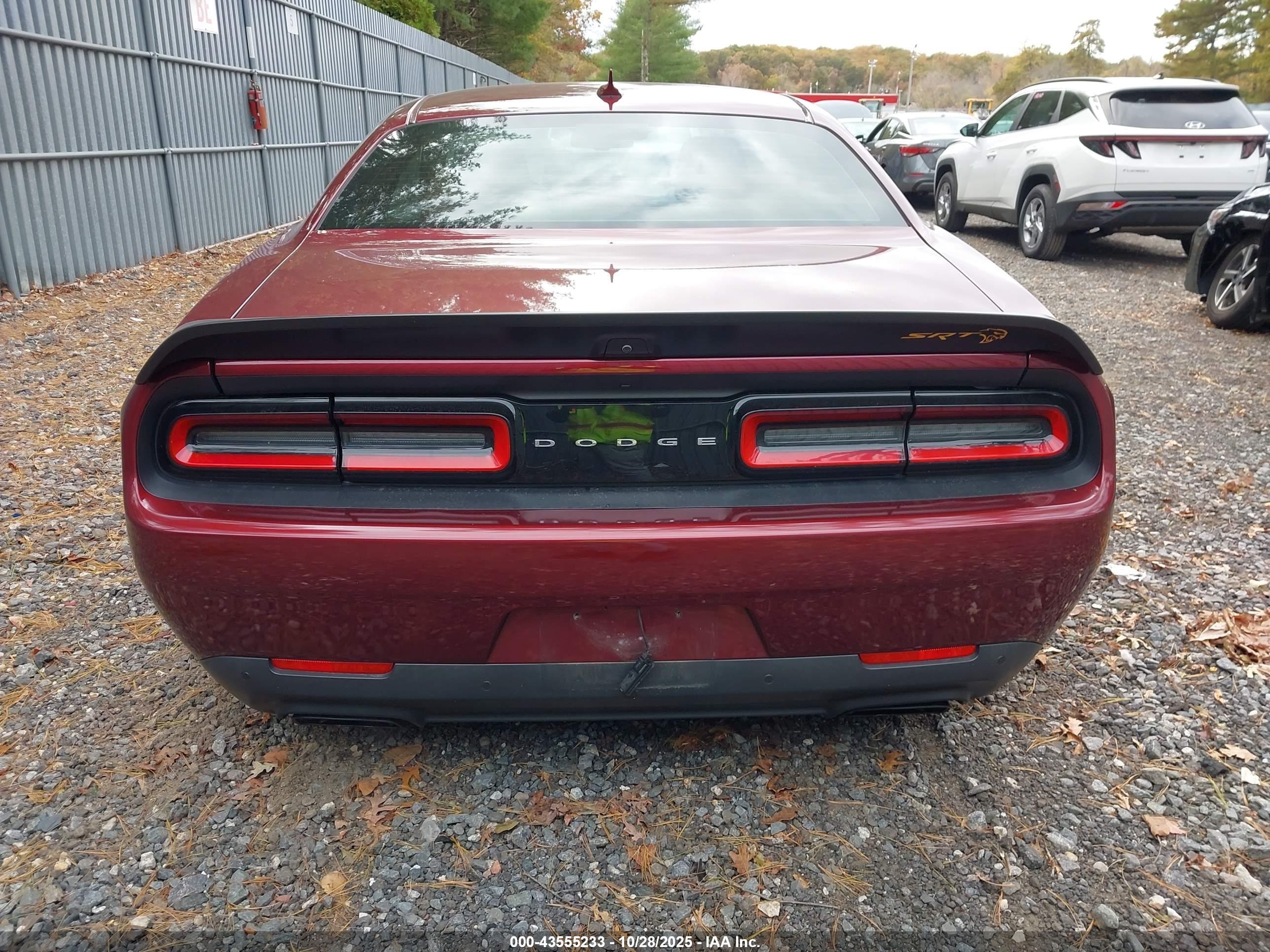2019 Dodge #16