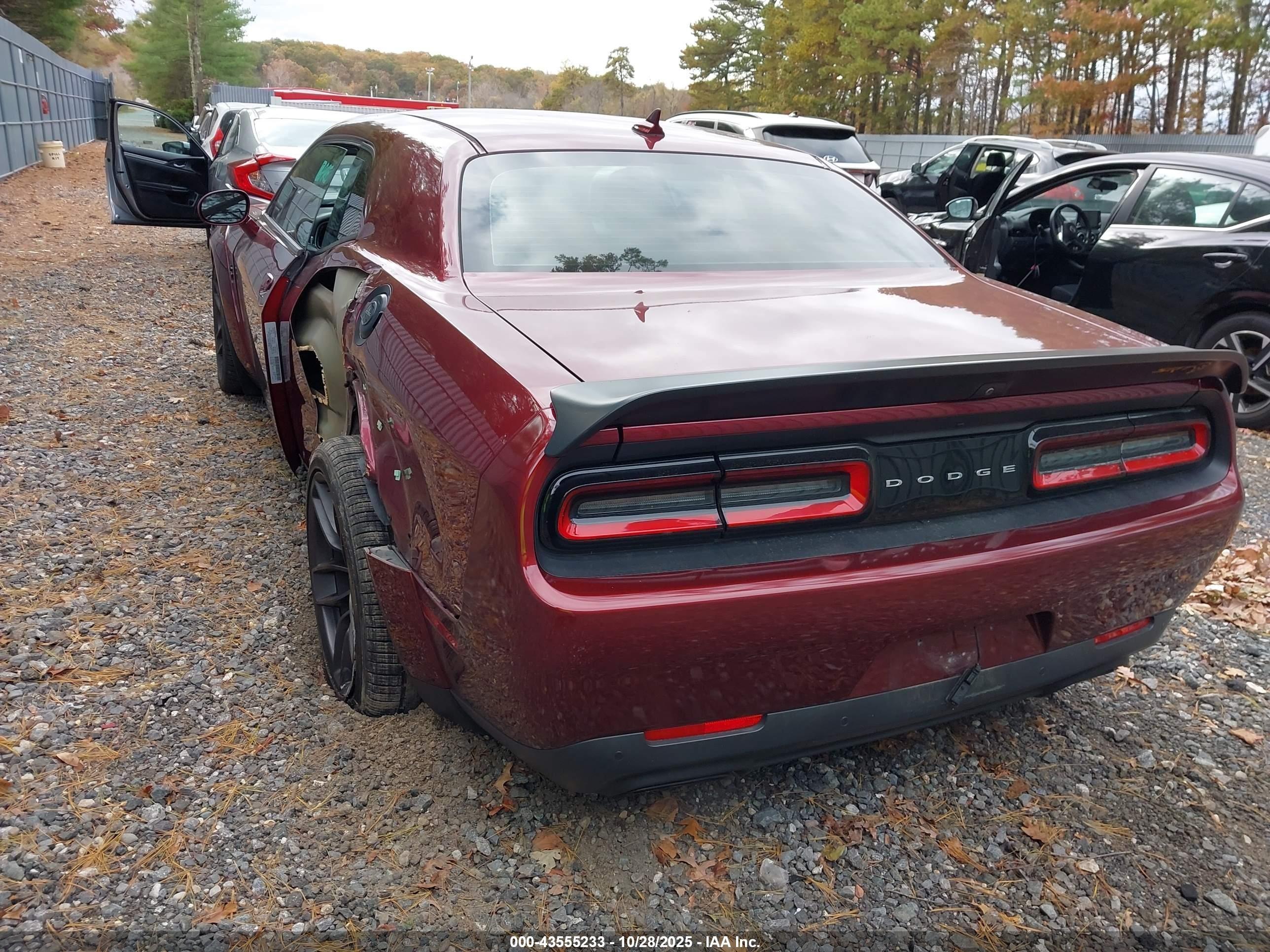 2019 Dodge #3