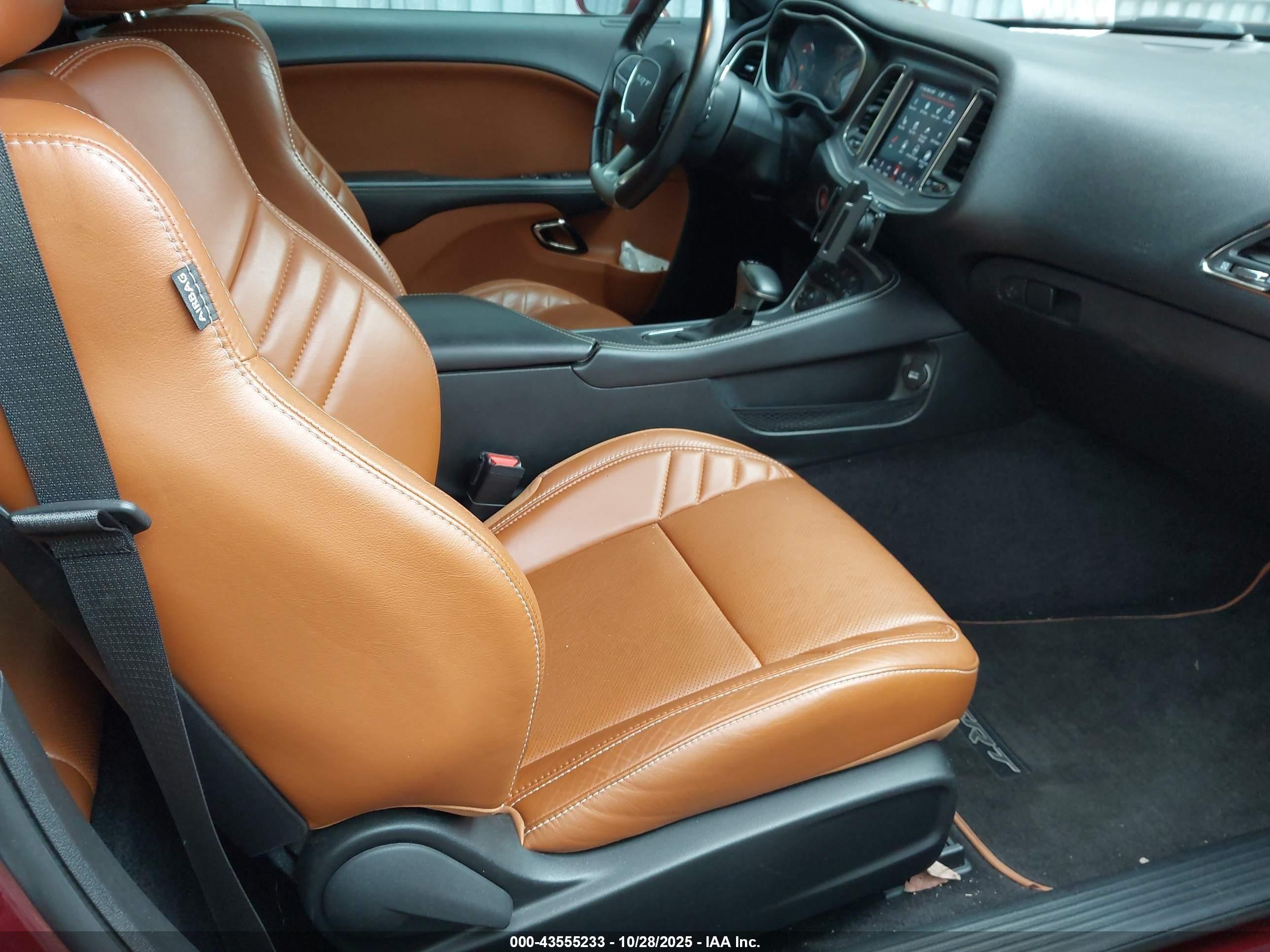 2019 Dodge #5