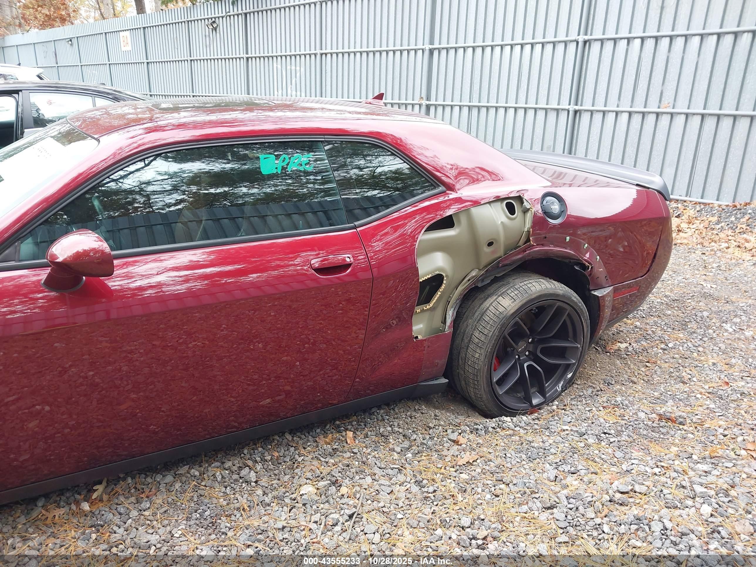 2019 Dodge #6