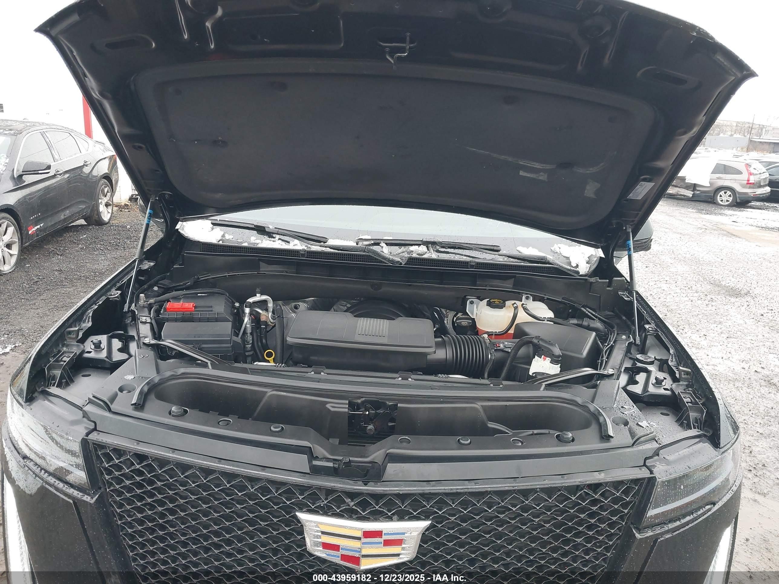 2024 Cadillac #10