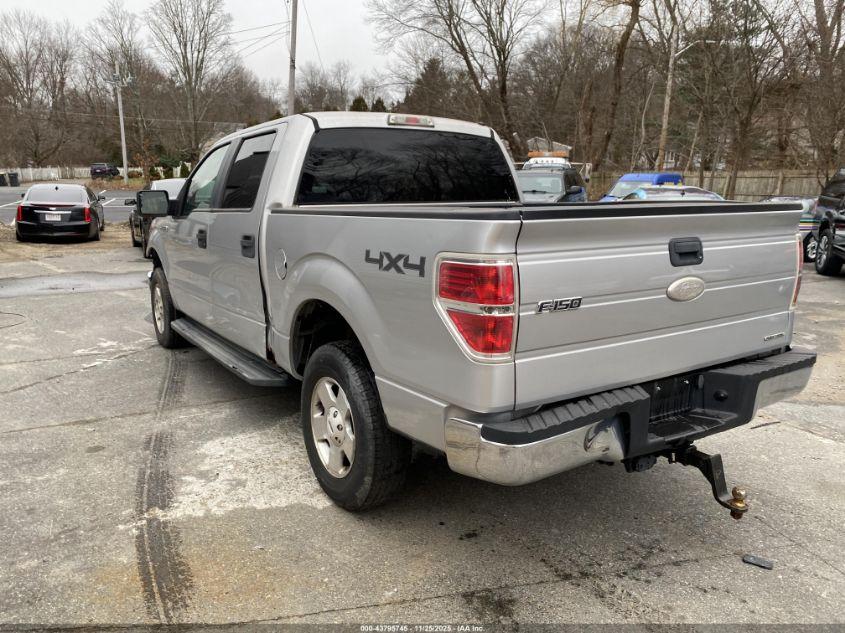 2011 Ford #3