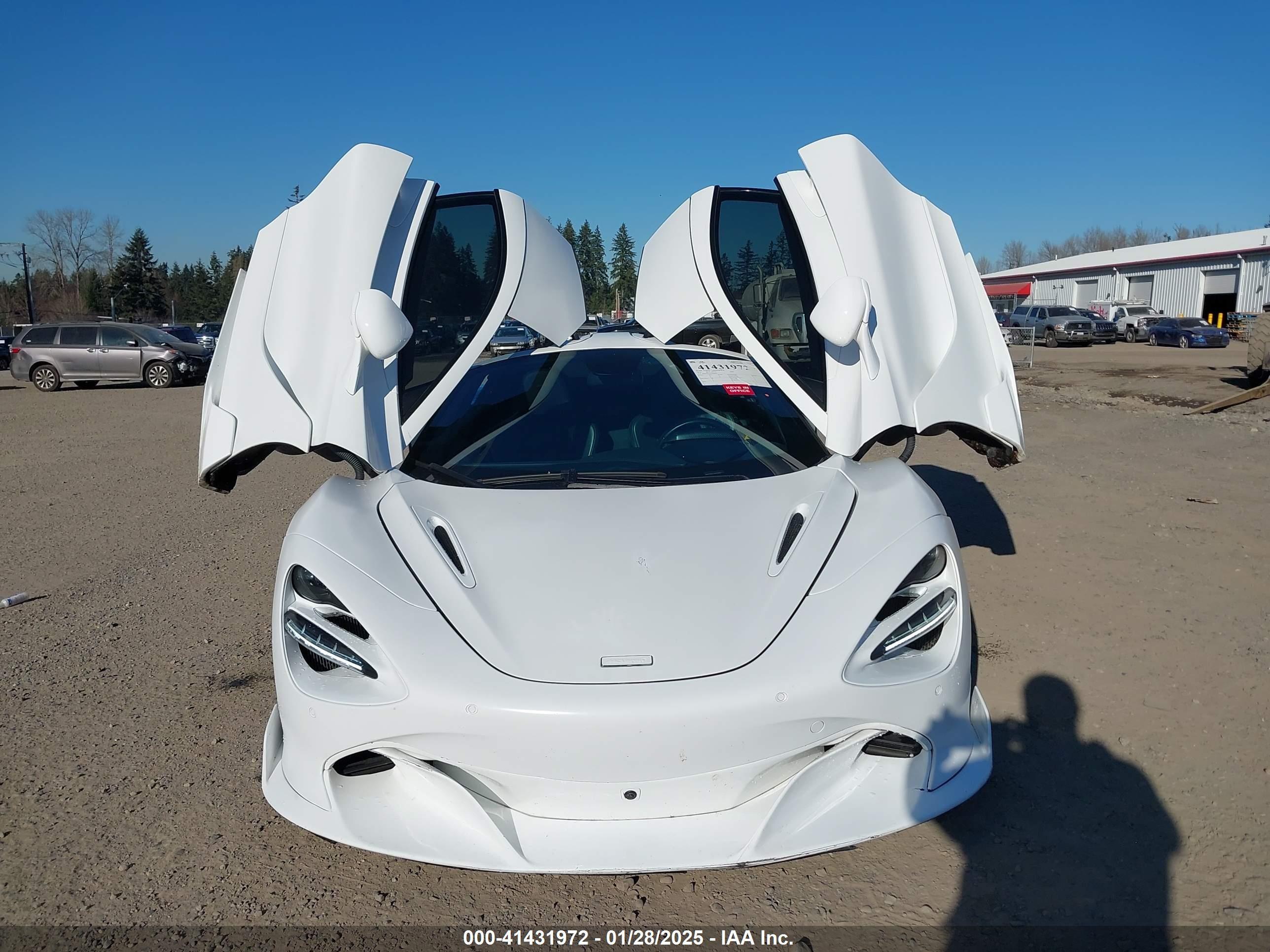 2018 McLaren #17