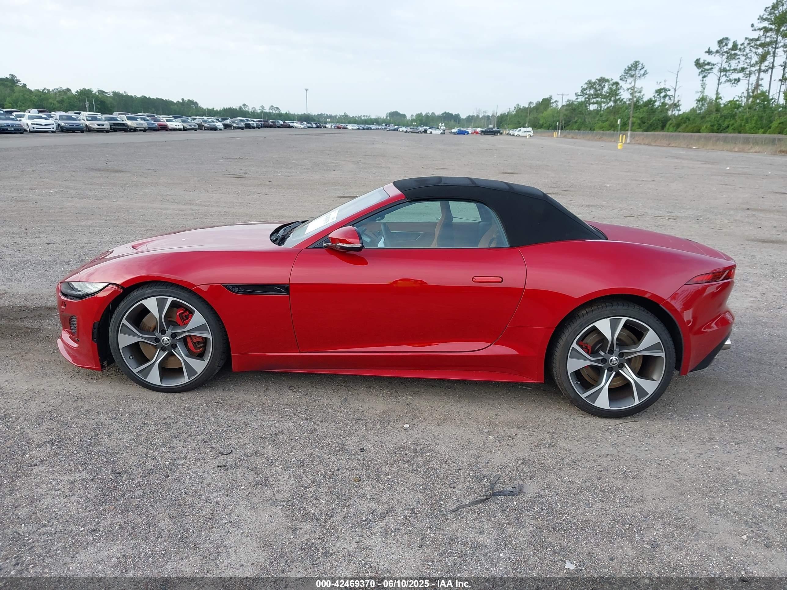 2024 Jaguar #15