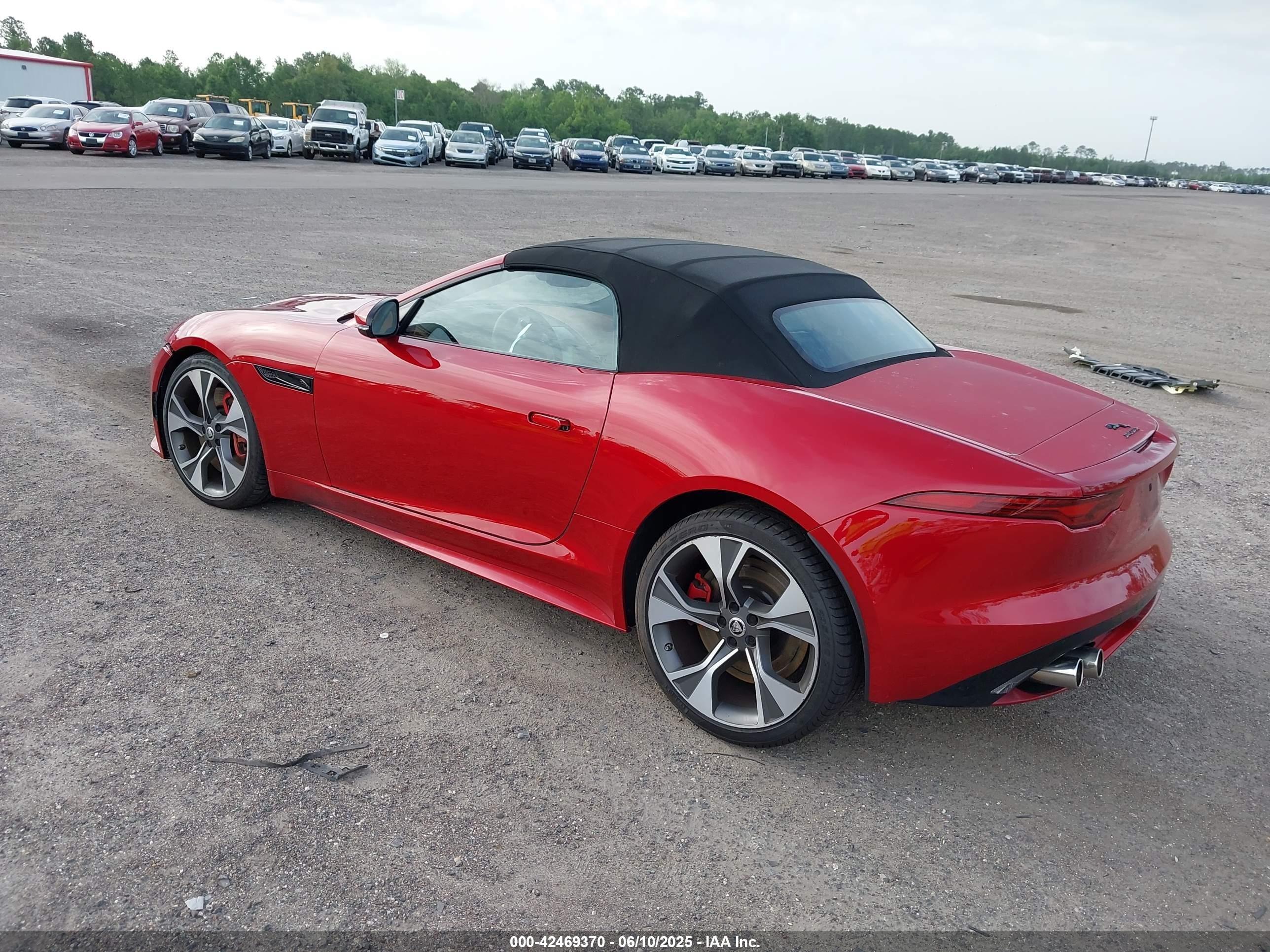 2024 Jaguar #3