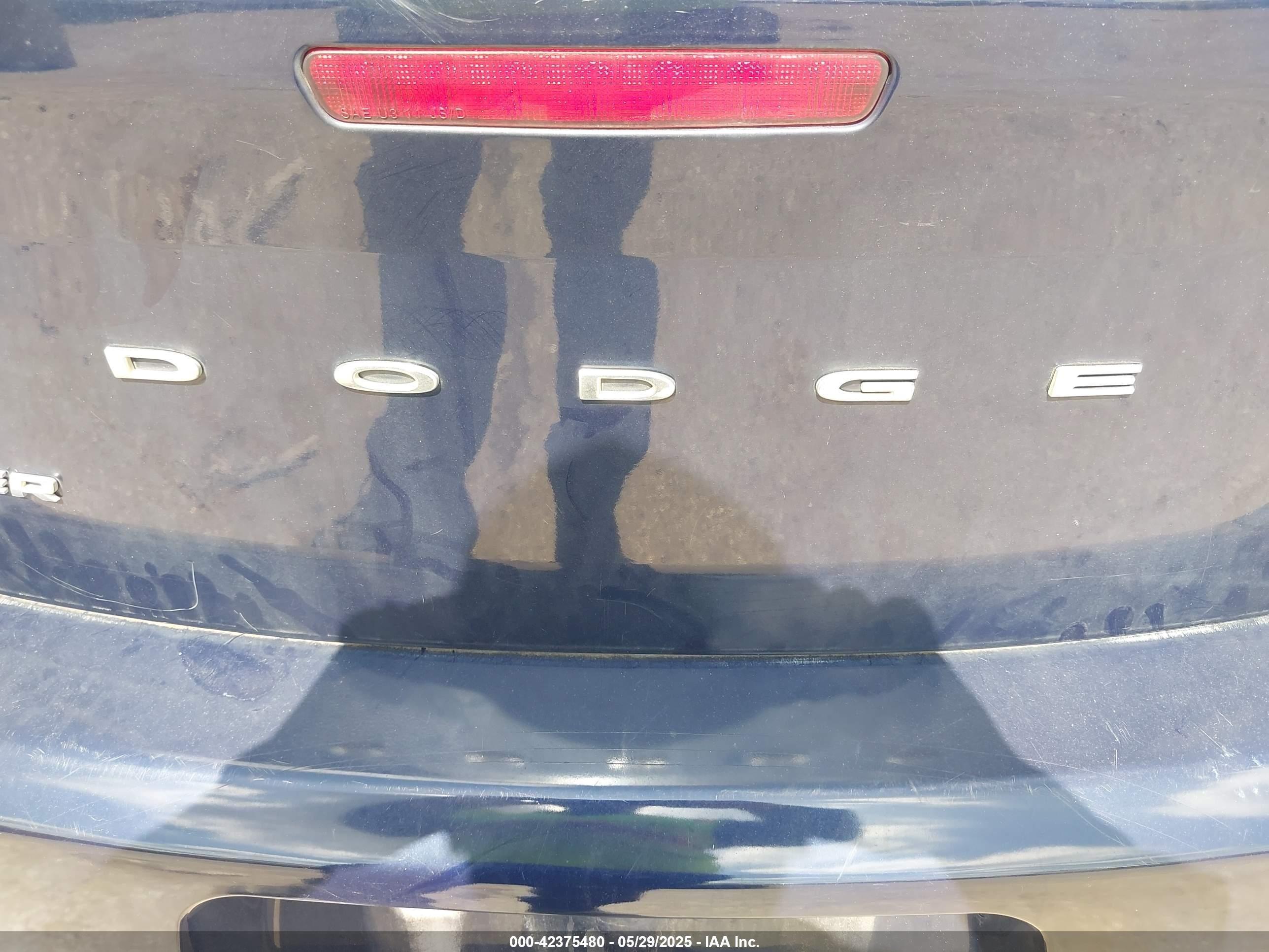 2013 Dodge #6
